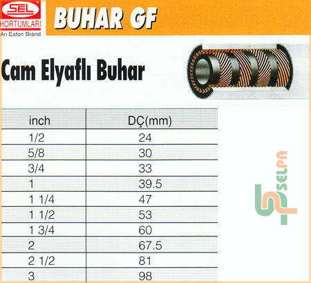 buhar hortumları